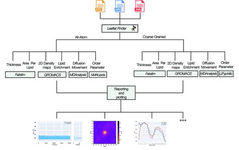 Overview Of Lipiddyn The Figure Illustrates The Workflow Implemented