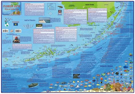 Florida Map Florida Keys Guide And Divelaminated 2010 By Frankos