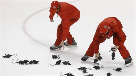 Why Do They Throw Octopus On The Ice Red Wings Octopus History