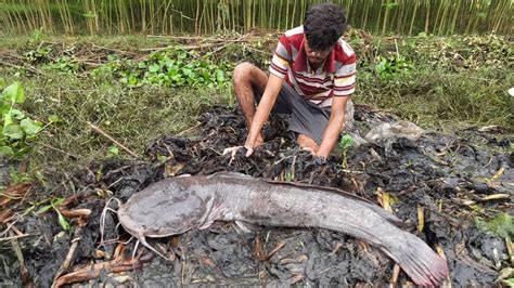 Traditional Hand Fishing Village Boy Is Catching Big Catfish By