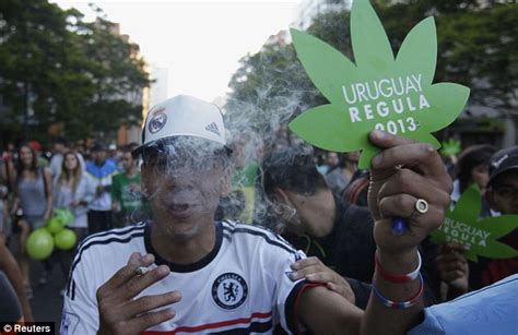 Uruguay Legalises The Sale And Production Of Cannabis Daily Mail Online