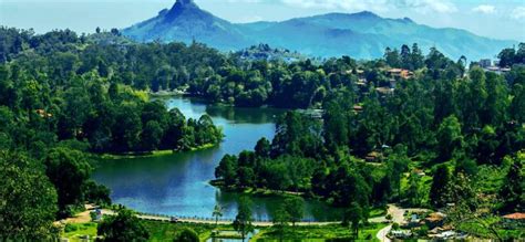 10 Nights 11 Days Bangalore Mysore Coorg Wayanad Ooty Kodaikanal Tour