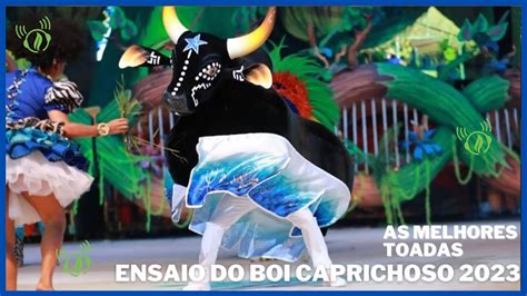 Amazônia Music As melhores Toadas do BOI Caprichoso 2023 Ensaio