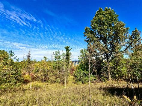 Woodstock Ontario Canada stock image. Image of forest - 260797681