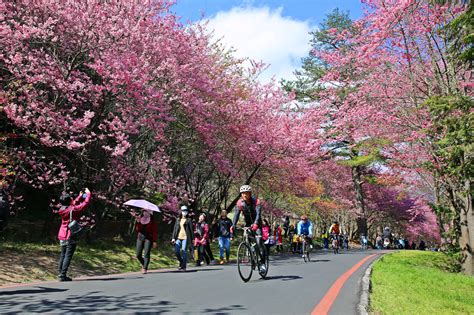 全台超粉嫩櫻花陸續綻放浪漫翻！達人強推5大賞櫻勝地 Ettoday生活新聞 Ettoday新聞雲