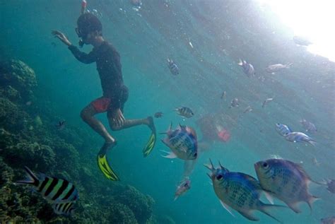 Sejuta Pesona Pulau Mahitam Hidden Gems Di Lampung