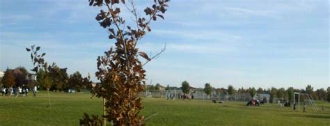 10 Best Parks In Natomas