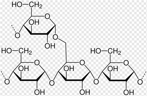 Structural Formula Of Amylose