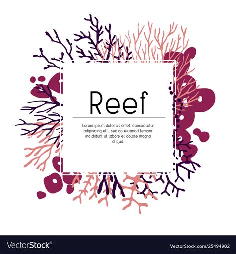 Template Seaweed And Corals Royalty Free Vector Image