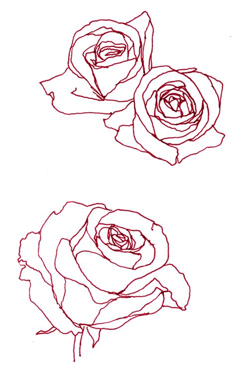 Rose drawing outline - guluranch