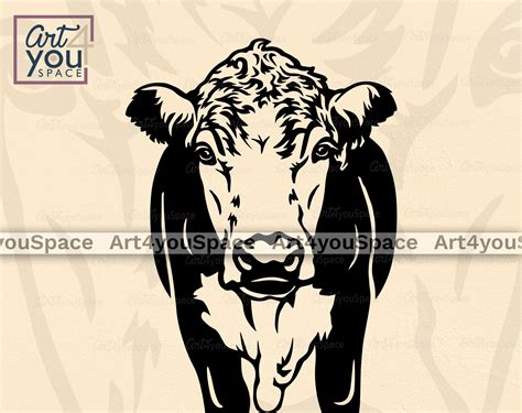 Hereford Cow Svg Files For Cricut Heifer Clipart Download Etsy