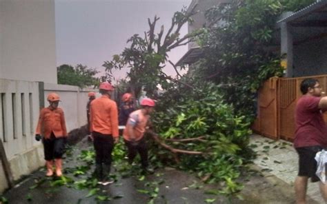 Kota Bogor Dilanda Bencana Akibat Hujan Dan Angin Kencang Mayoritas