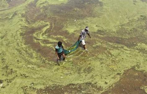 Rivers in India are Extremely Polluted (14 photos) | KLYKER.COM