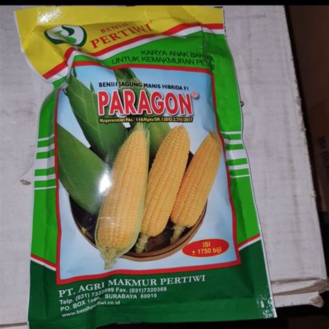 Jual Benih Jagung Manis Paragon Kemasan 1 750 Butir Shopee Indonesia