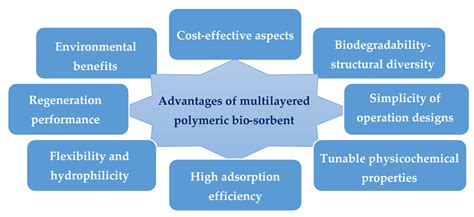 Polymers Free Full Text Recent Advances In Functional Polymer