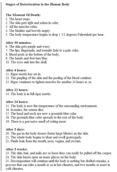 Stages Of Human Decomposition Worksheet