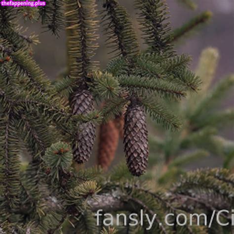 Cinderella Girl Cinderella Story Cinderelagirl Cinderelastory Nude OnlyFans Photo