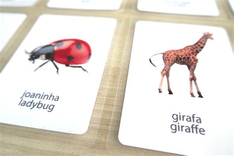 Kit Flashcards Animais Em Portugu S E Ingl S Elo