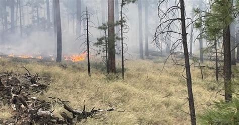 Arizona Forestry Officials Plan 1 800 Acre Prescribed Burn Near Mormon Lake