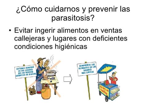 Cómo Cuidarnos Y Prevenir Las Parasitosis