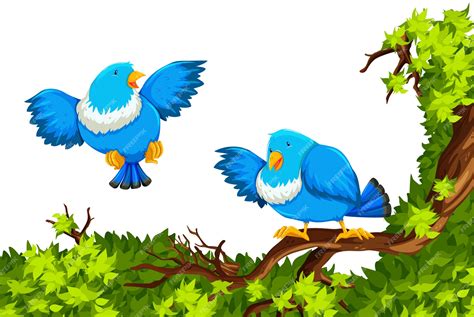 Premium Vector Blue Birds On The Branch