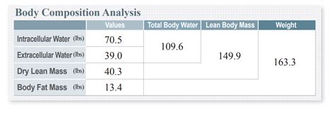 Body Composition The Beginners Guide Inbody Middle East Africa