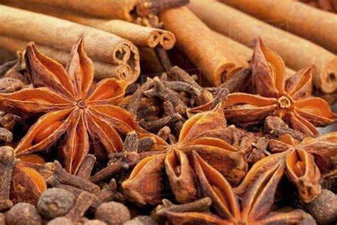 Winter Spices Cloves Allspice Star Anise Cinnamon Stock Photo