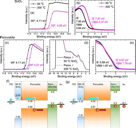 Low Temperature Plasma Assisted Atomic Layer Deposited SnO2 As An