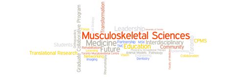 Toronto Musculoskeletal Centre Inventing The Future Of Musuloskeletal