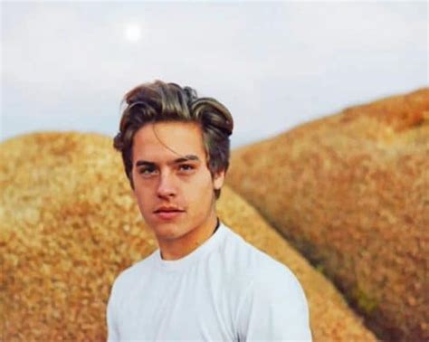 Handsome Dylan Sprouse Actors Paint By Number Num Paint Kit