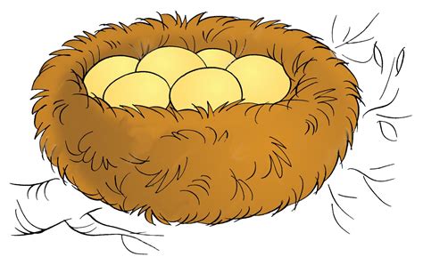 bird nest clip art 20 free Cliparts | Download images on Clipground 2024