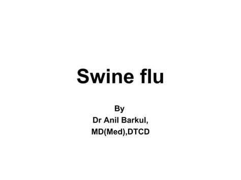 Swine Flu Ppt Ppt