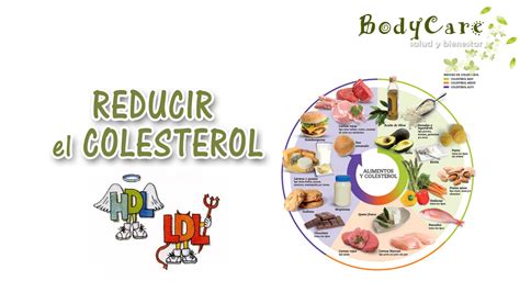 C Mo Reducir El Colesterol Salud Y Bienestar