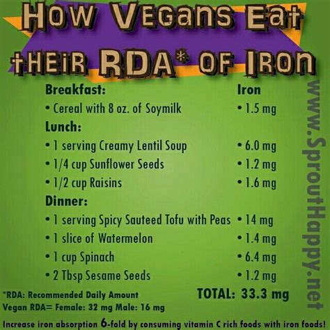 1 Day Vegan Meal Plan for Optimal Iron Intake