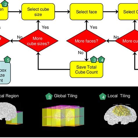 Flowchart For Computing The Local Fractal Dimension Of The Cerebral