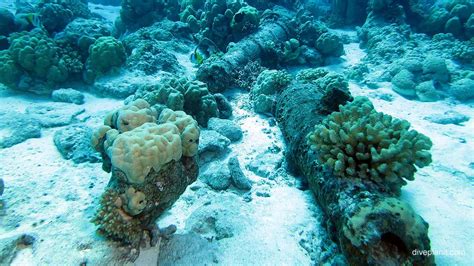 A Days Diving In Paradise Aka Australias Cocos Keeling Island