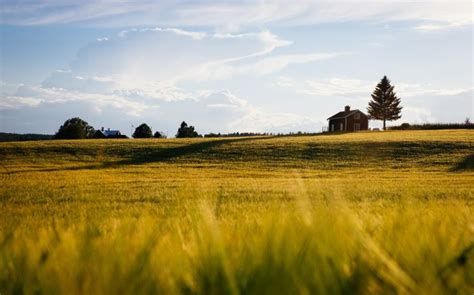 Comment Bien Choisir Son Terrain Constructible Berriau