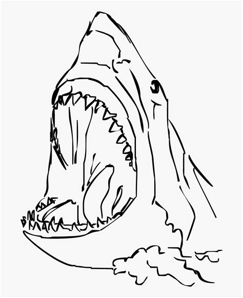 Shark Bite Illustration