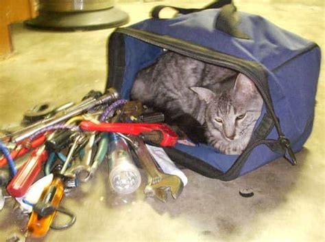 My dream CAT tool… | Gabriela Janiszewska Translite