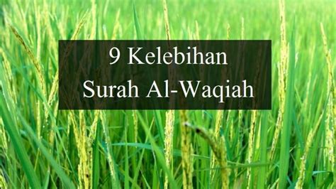 Khasiat Membaca Al Waqiah Kali Disebut Sebagai Surah Kekayaan