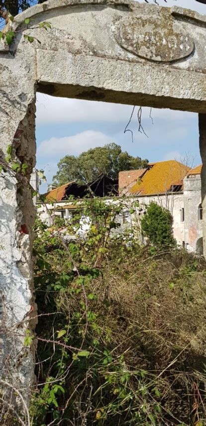 Quintas E Casas R Sticas Quinta T Venda Em Gaio Ros Rio E