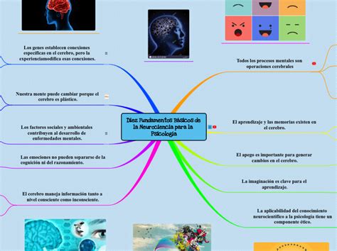 Diez Fundamentos Básicos De La Neurocienci Mind Map