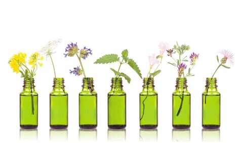 Bach Flower Remedies For Anxiety? – Flower remedies therapy