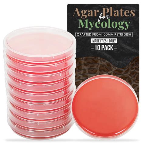 Buy Premium Malt Extract Agar Mea Plates For Mushroom Cultivation