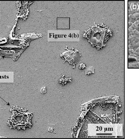 A Plan View Sem Se Micrograph Thick Oxide Crusts Can Be Seen At