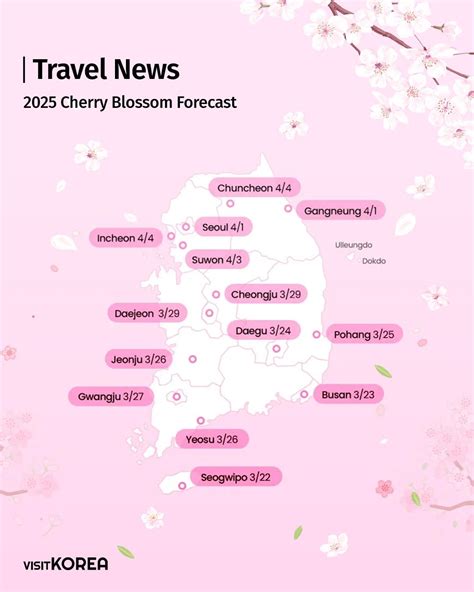 travel update   cherry korea tourism anz