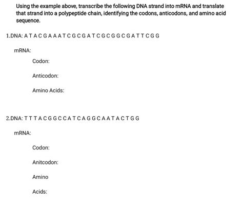 Solved Using The Example Above Transcribe The Following Dna Chegg