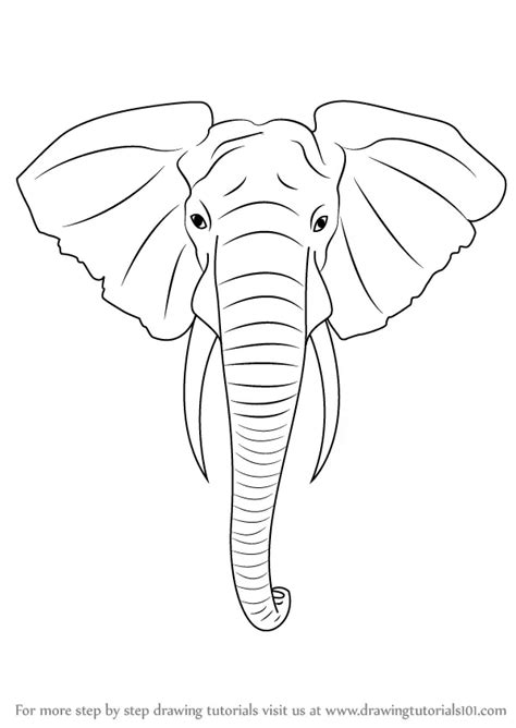 Elephant Head Outline