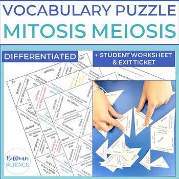 Mitosis Meiosis Cell Cycle Hands On Vocabulary Review Activity Tarsia