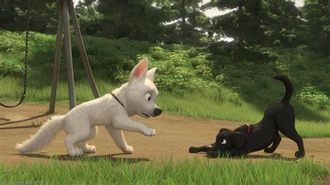 Disney's Bolt Photo: bolt | Bolt disney, Bolt dog, Disney dogs